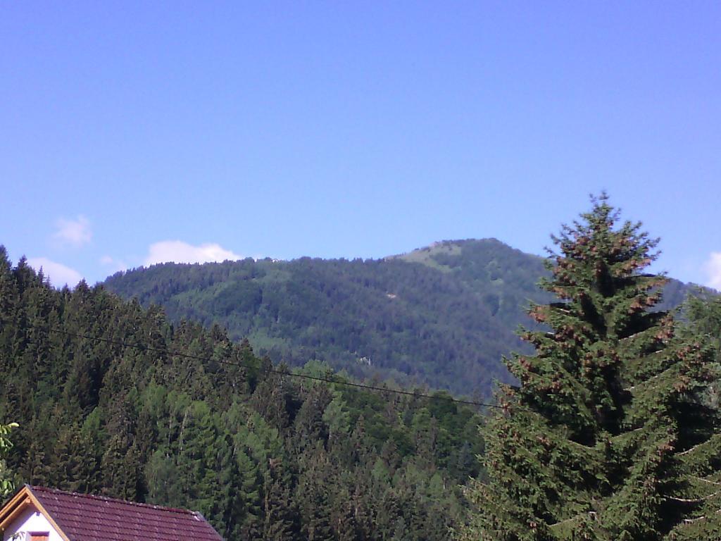 Appartements Zankl Kotschach-Mauthen Exteriör bild