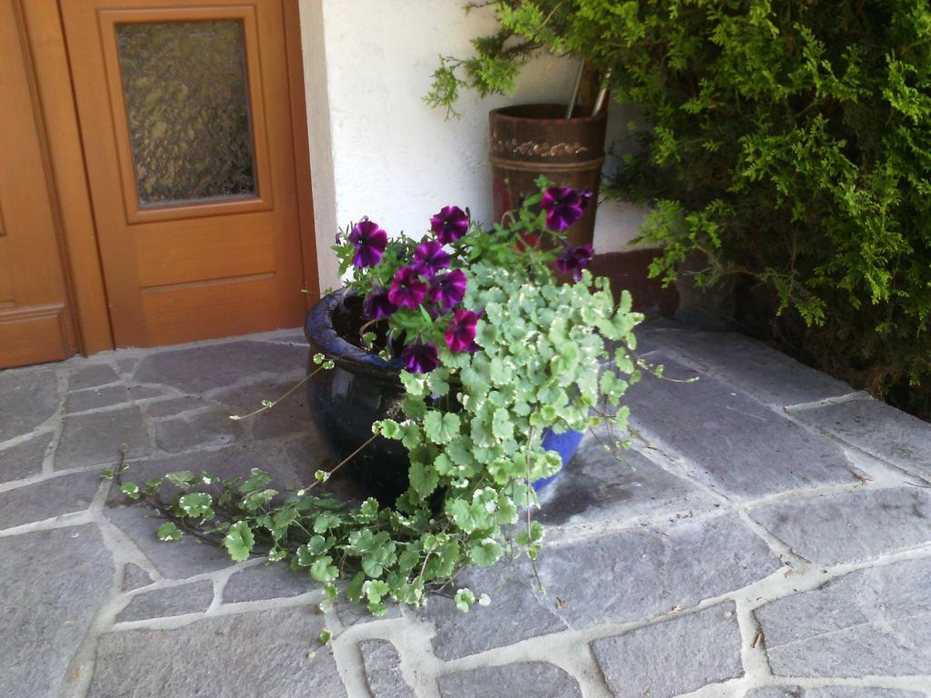 Appartements Zankl Kotschach-Mauthen Exteriör bild